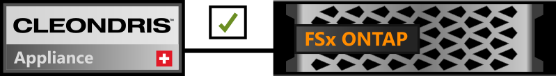 A Cleondris Appliance connected to Amazaon FSx for NetApp ONTAP